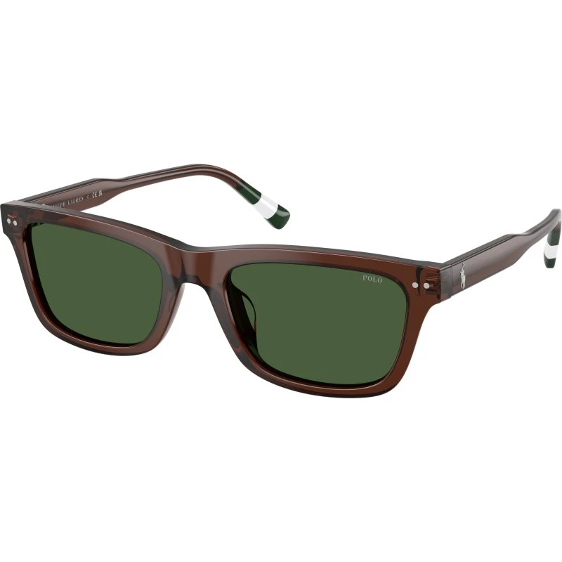 Polo Ralph Lauren PH4240U Lunettes de Soleil Acétate Marron et Vert