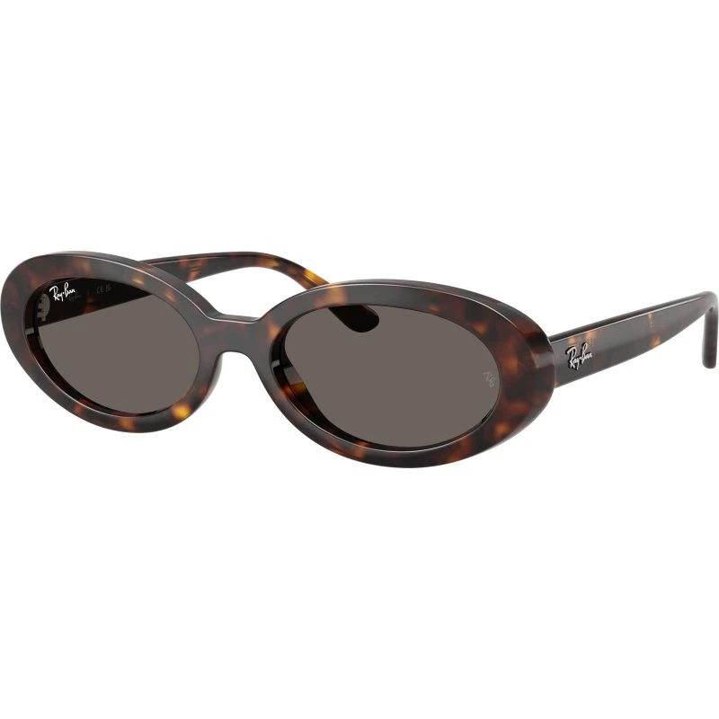 Ray-Ban RB2223 Lunettes de Soleil Écaille de Tortue et Verres Dégradés