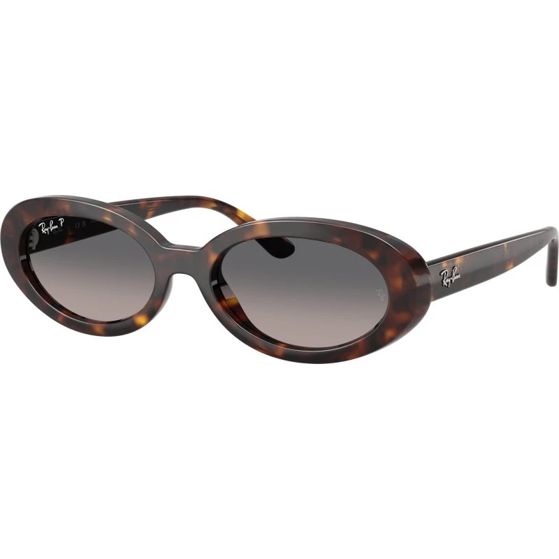 Ray-Ban RB2223 902/M3 Lunettes de Soleil Polarisées Écaille de Tortue