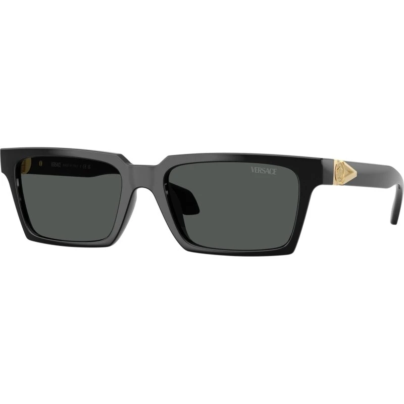 Versace Homme VE4490U GB1/87 Lunettes de soleil Carrées Noires et Grises
