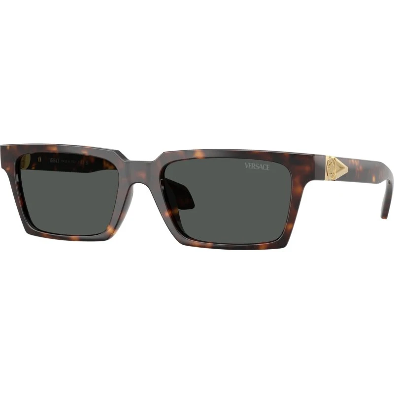 Versace Homme VE4490U 108/87 Lunettes de Soleil Carrées Écaille