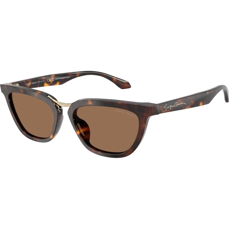 Giorgio Armani AR8253U Lunettes de soleil Papillon Écaille Marron