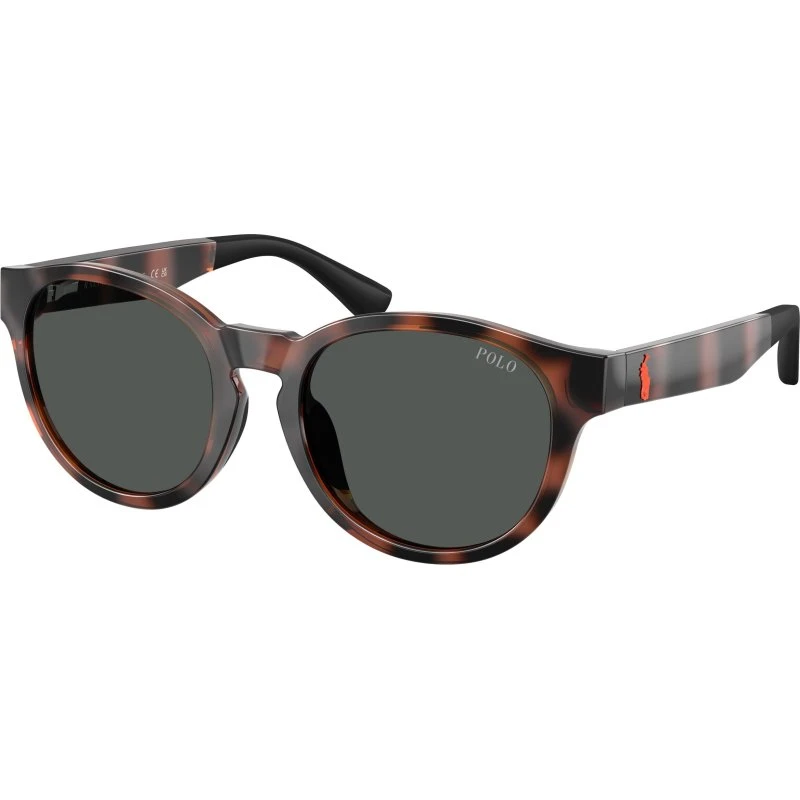 Polo Ralph Lauren Enfant - Lunettes de soleil Pantos Tortue
