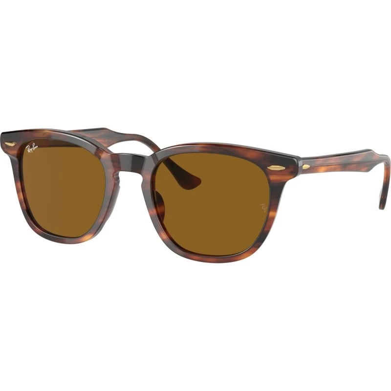 Ray-Ban RB2298 Hawkeye Lunettes de Soleil Carrées Havane