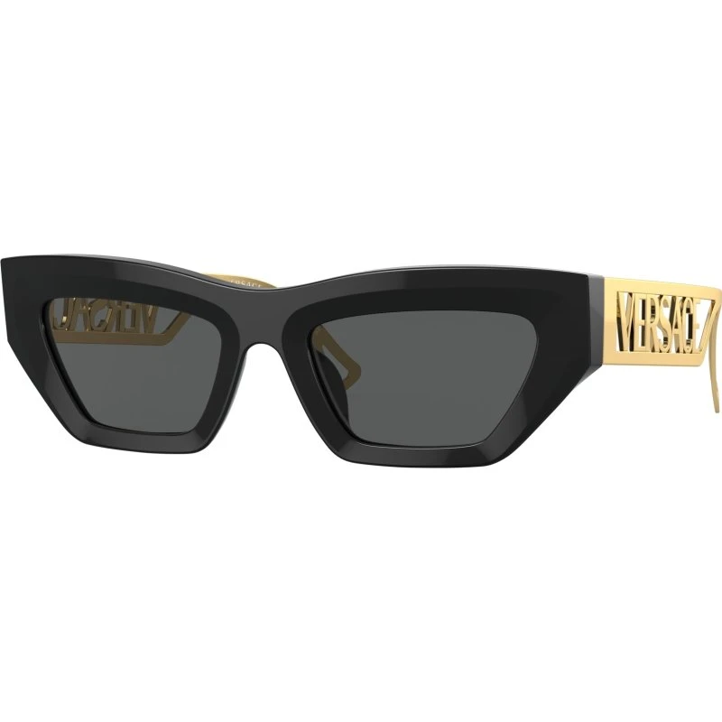 Versace VE4432U GB1/87 Lunettes de soleil Géométriques Noir et Gris