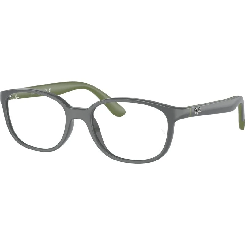 Ray-Ban Enfant RY1632 3964 - Monture Optique Pantos Grise