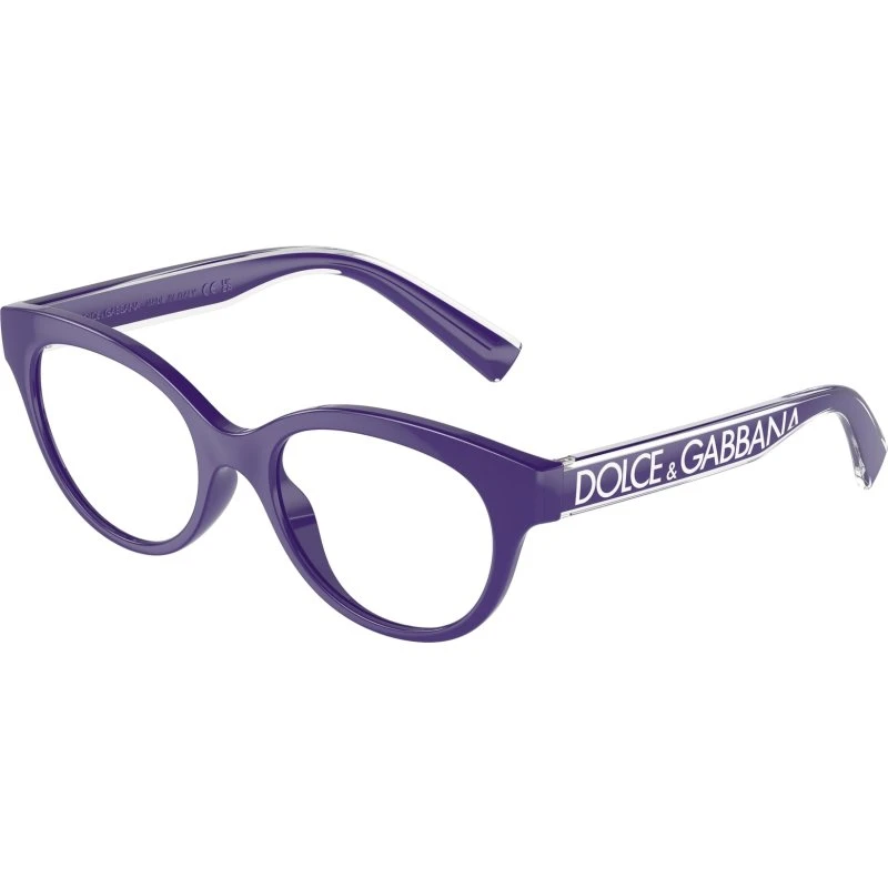 Dolce & Gabbana DX5003 - Montures Optiques Pantos Violet Transparent