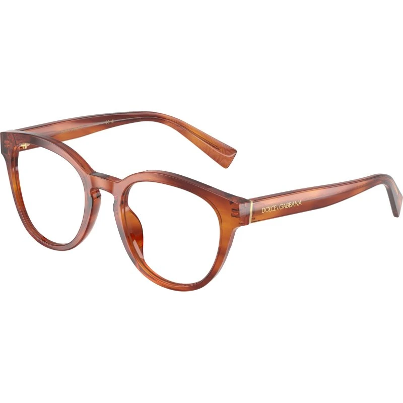 Dolce & Gabbana DG3421 Montures Optiques Pantos Marron