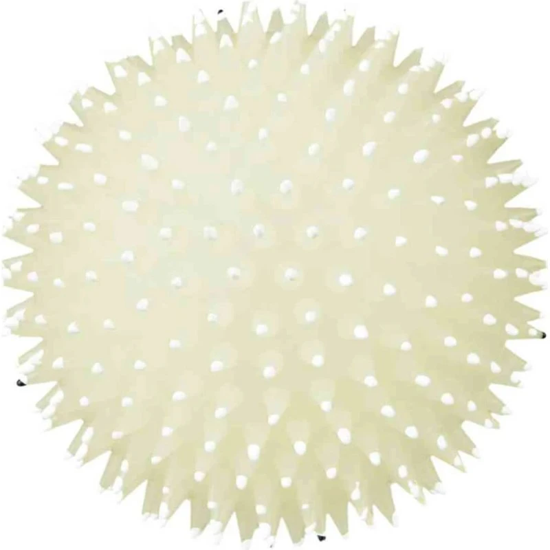 Trixie Jouet Balle Hérisson Phosphorescent pour Chien, 10cm